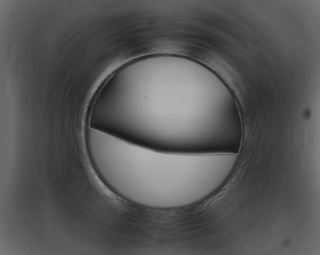 X0000097800947200803140733