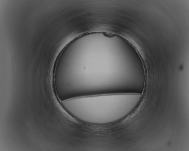 X0000097800949200803140733