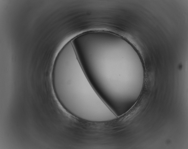 X0000097800951200803140733