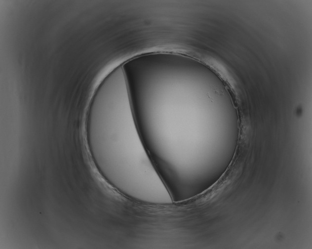 X0000097800952200803140733