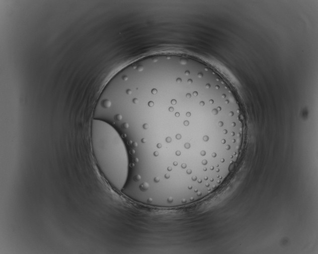 X0000097800953200803140733