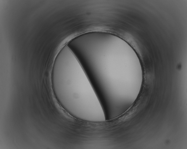 X0000097800954200803140733