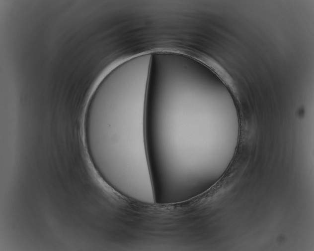 X0000097800955200803140733