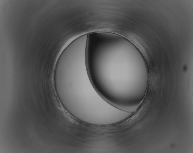 X0000097800956200803140733