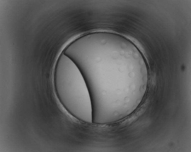 X0000097800957200803140733
