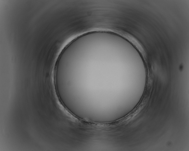 X0000097800958200803140733