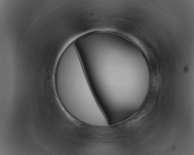X0000097800959200803140733
