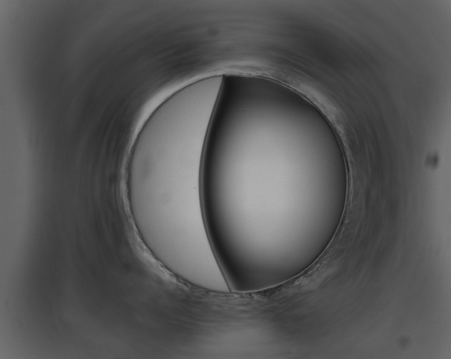 X0000097800960200803140733