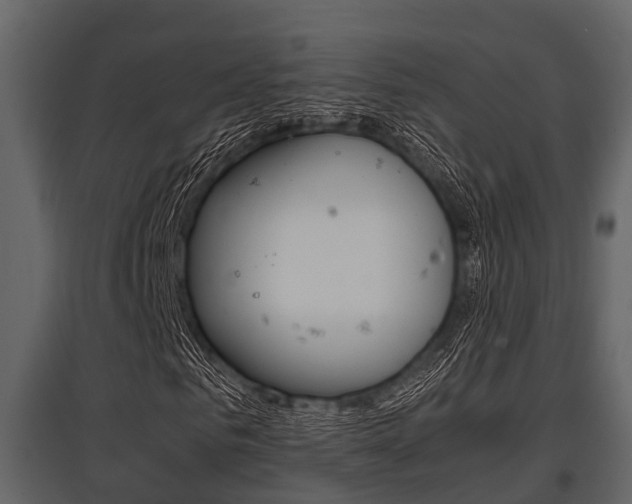 X0000097800961200803140733