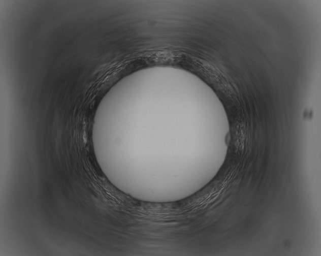X0000097800962200803140733