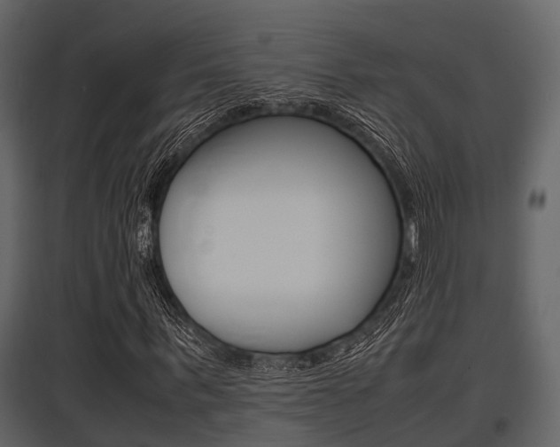 X0000097800963200803140733