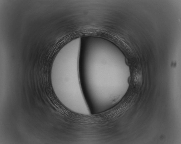 X0000097800964200803140733