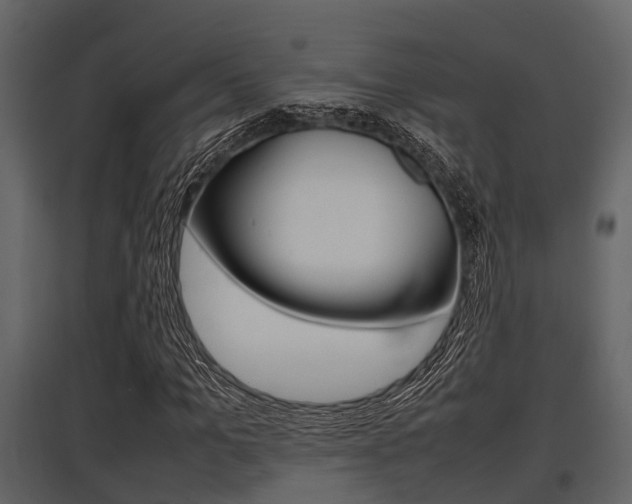 X0000097800965200803140732