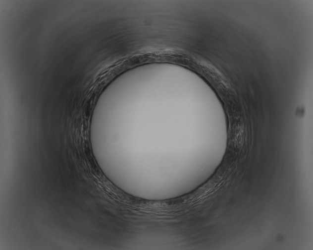 X0000097800966200803140732