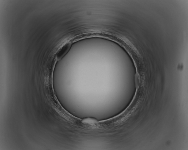 X0000097800969200803140732