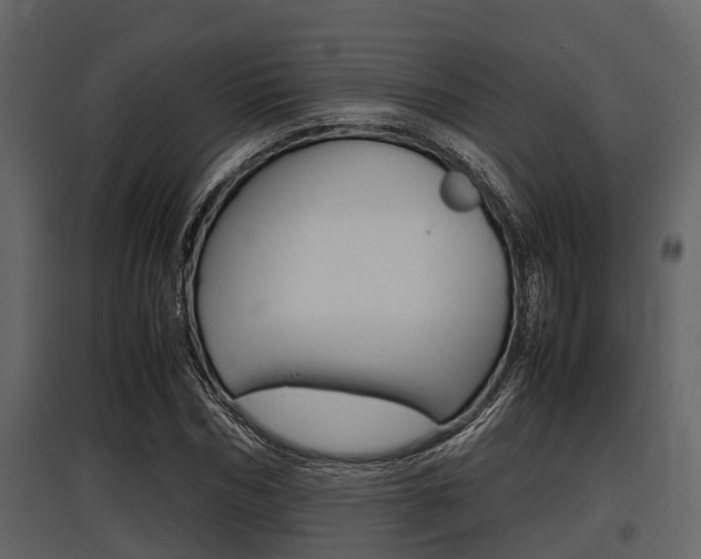 X0000097800970200803140732