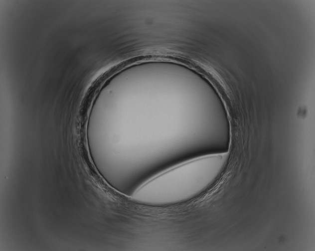 X0000097800971200803140732