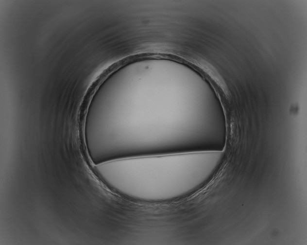 X0000097800972200803140732