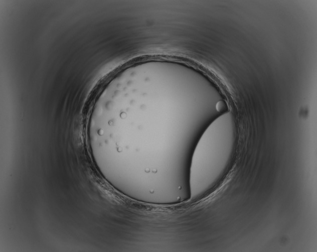 X0000097800974200803140732