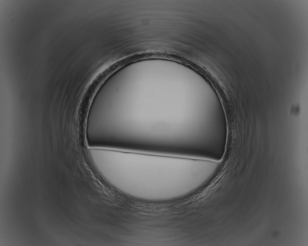 X0000097800975200803140732