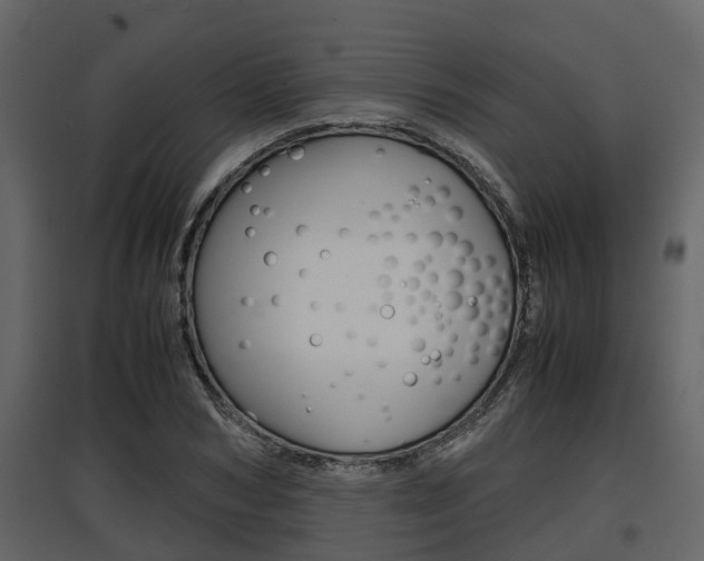 X0000097800978200803140732