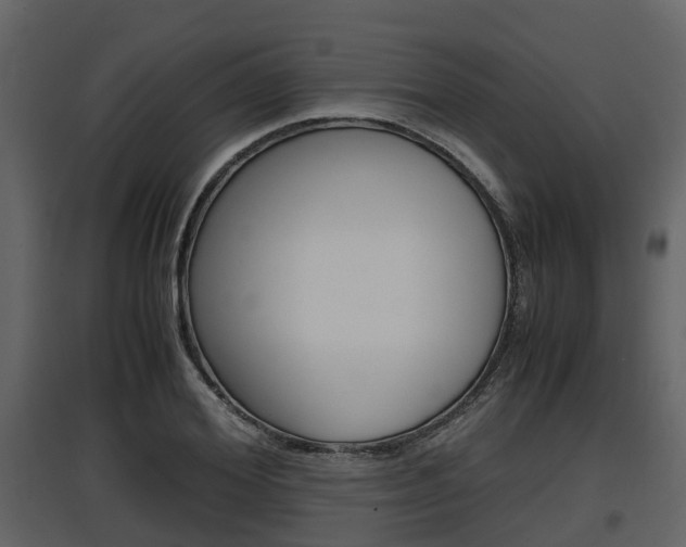 X0000097800980200803140732