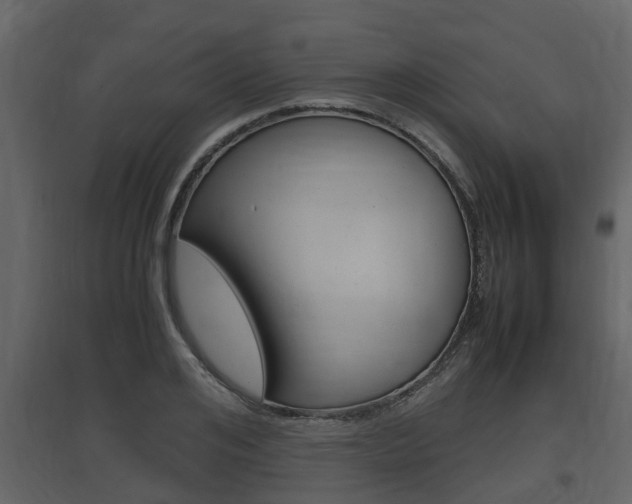 X0000097800984200803140732