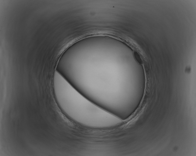 X0000097800985200803140732