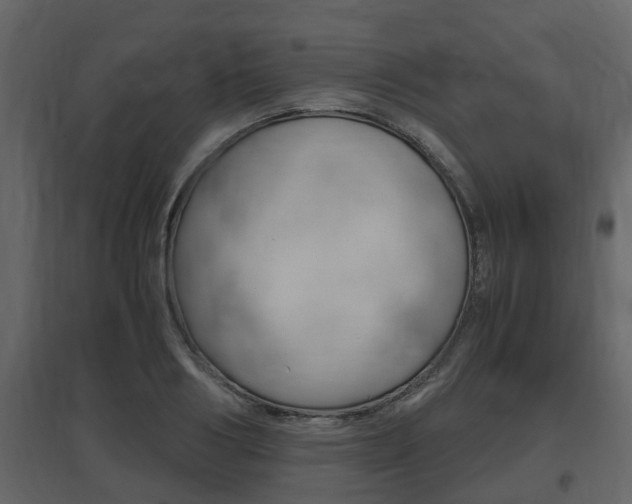 X0000097800986200803140732