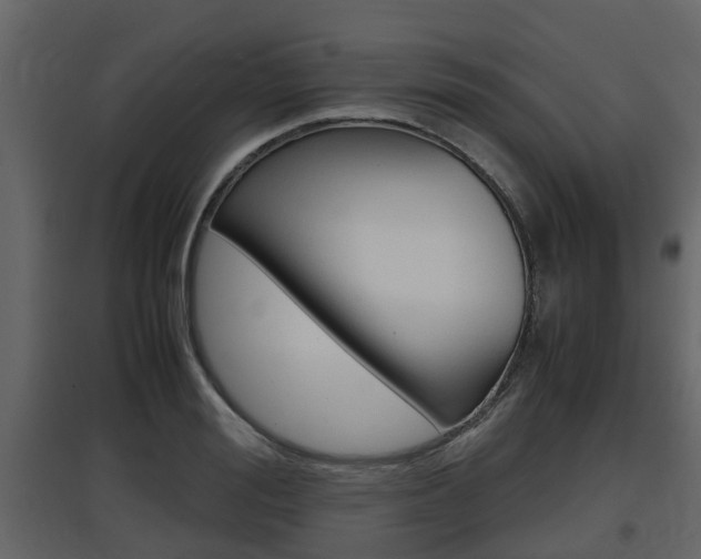 X0000097800988200803140732