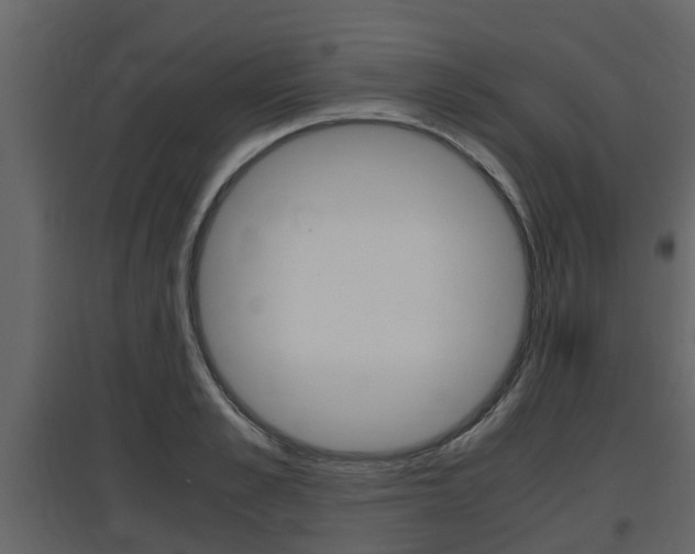 X0000097800989200803140732