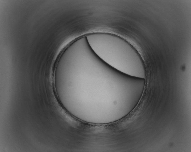 X0000097800990200803140732