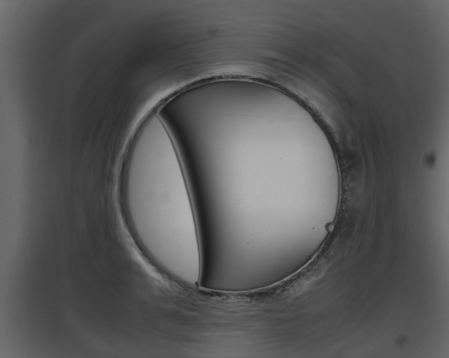 X0000097800991200803140732