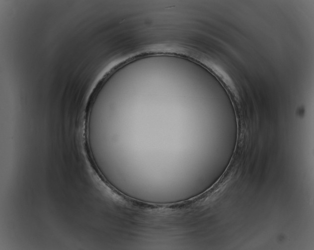X0000097800992200803140732
