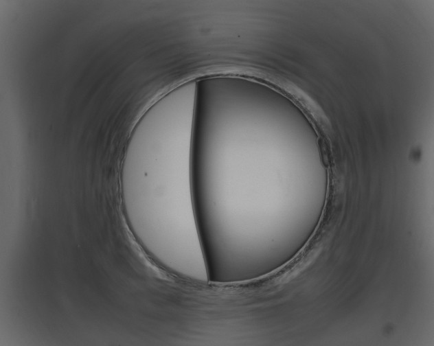 X0000097800993200803140732