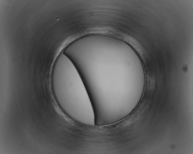 X0000097800994200803140732