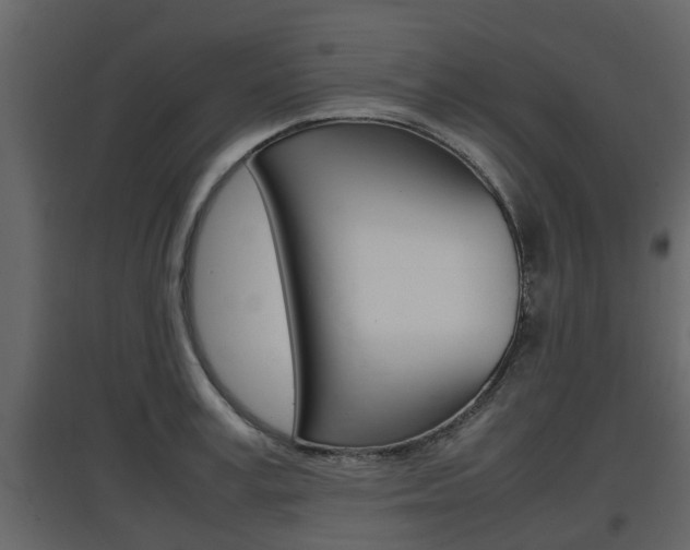 X0000097800995200803140732