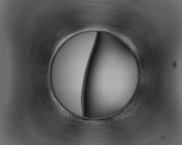 X0000097800996200803140732