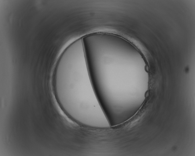 X0000097800999200803140732