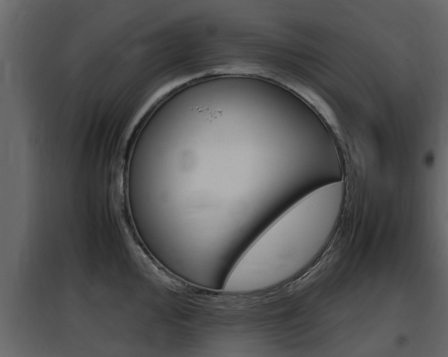 X0000097801000200803140732