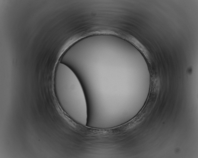 X0000097801002200803140732