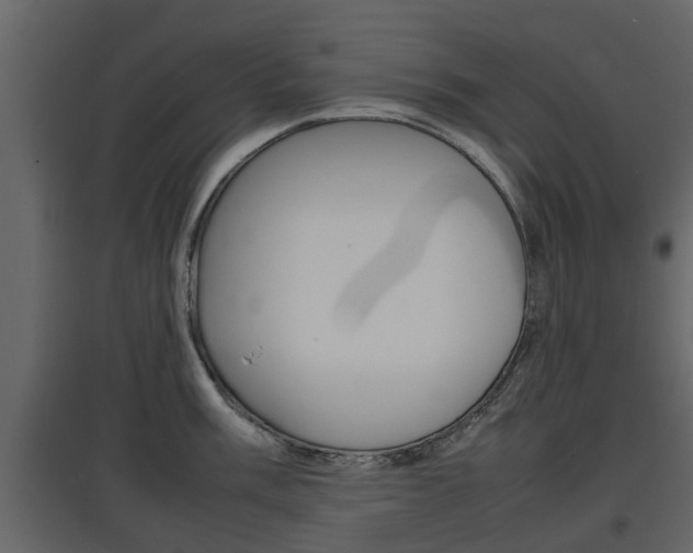 X0000097801003200803140732
