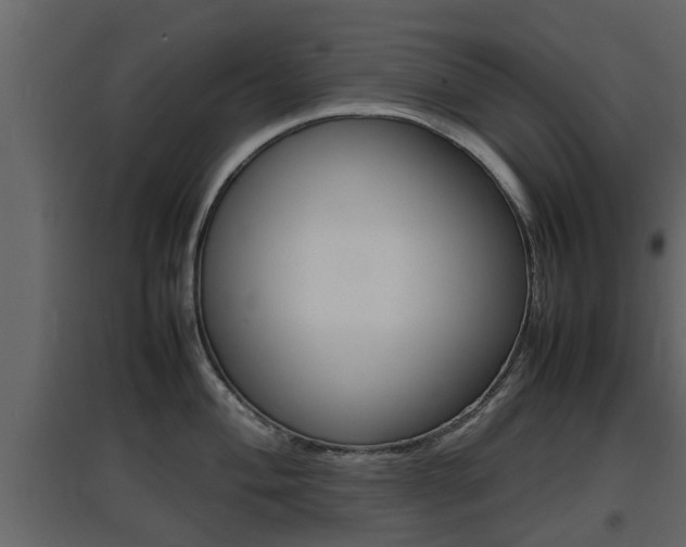 X0000097801004200803140732