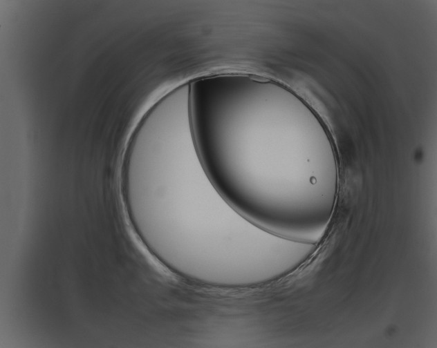 X0000097801005200803140732