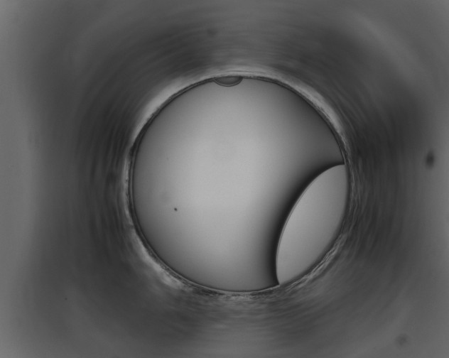 X0000097801006200803140732