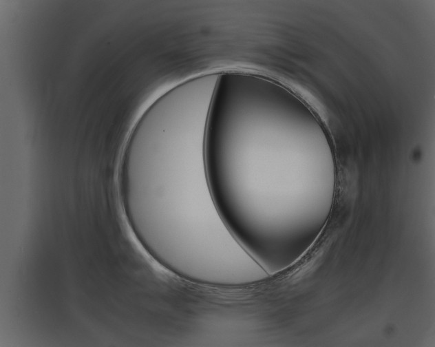 X0000097801007200803140732