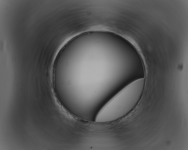 X0000097801008200803140732