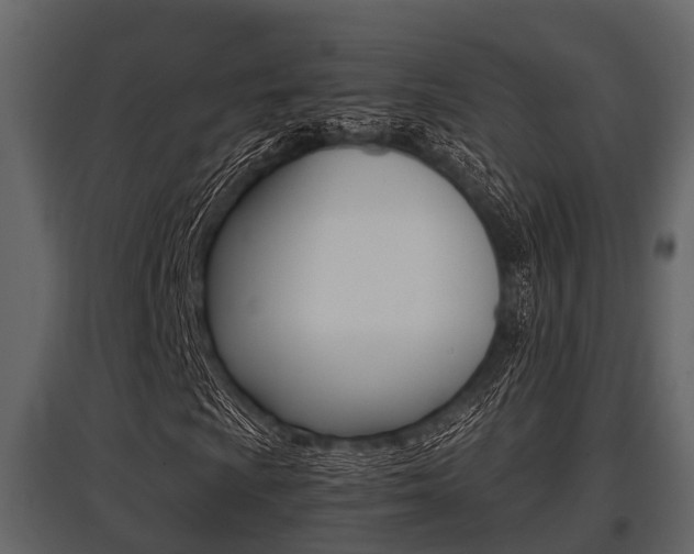 X0000097801009200803140731