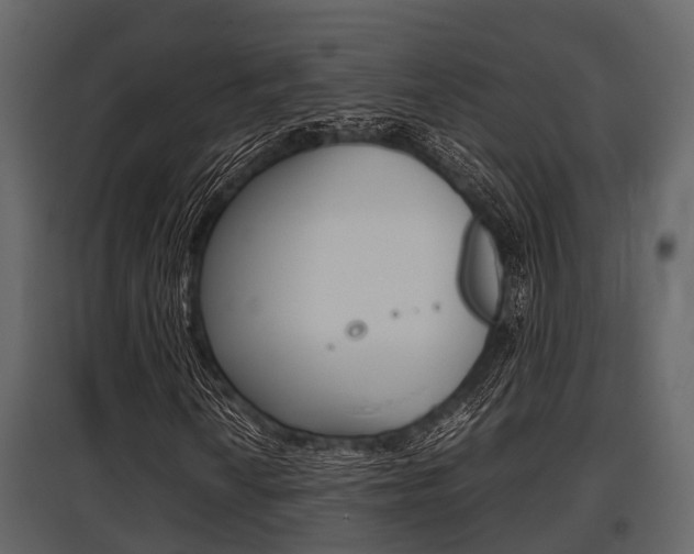 X0000097801010200803140731