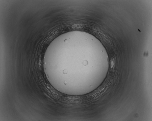 X0000097801011200803140731